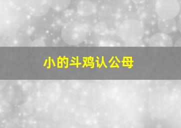 小的斗鸡认公母