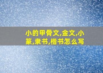 小的甲骨文,金文,小篆,隶书,楷书怎么写