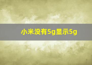 小米没有5g显示5g