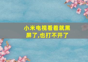 小米电视看着就黑屏了,也打不开了