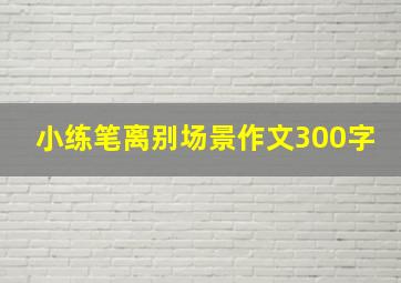 小练笔离别场景作文300字