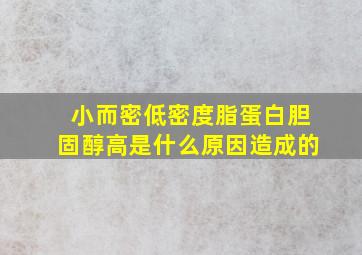 小而密低密度脂蛋白胆固醇高是什么原因造成的