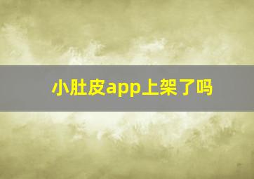 小肚皮app上架了吗