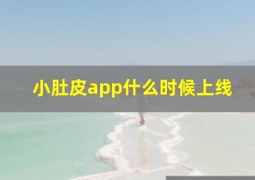 小肚皮app什么时候上线