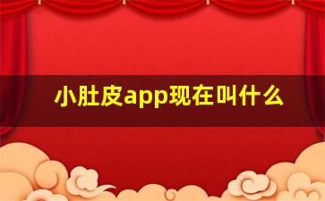 小肚皮app现在叫什么