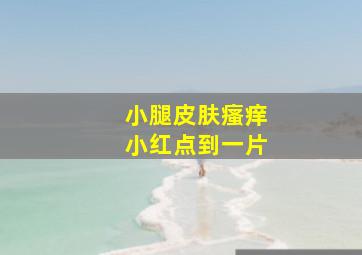 小腿皮肤瘙痒小红点到一片