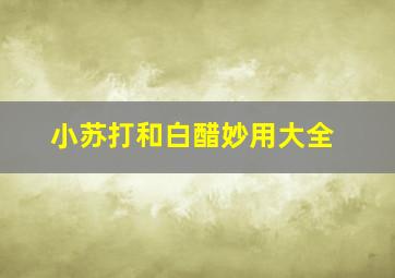 小苏打和白醋妙用大全