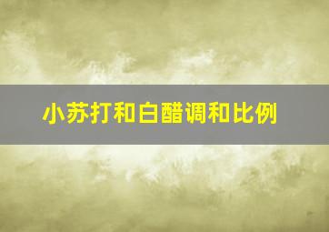 小苏打和白醋调和比例