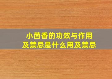 小茴香的功效与作用及禁忌是什么用及禁忌