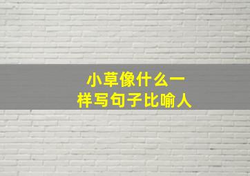 小草像什么一样写句子比喻人