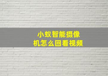 小蚁智能摄像机怎么回看视频