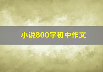 小说800字初中作文