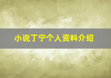 小说丁宁个人资料介绍