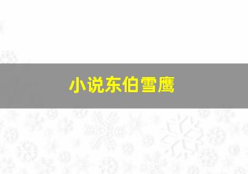 小说东伯雪鹰