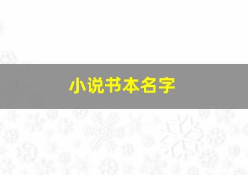 小说书本名字