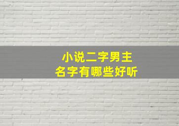 小说二字男主名字有哪些好听