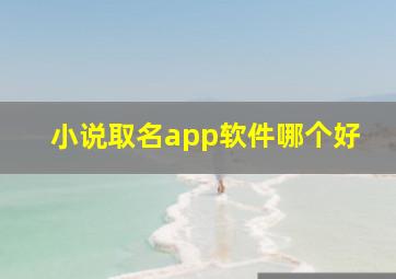 小说取名app软件哪个好