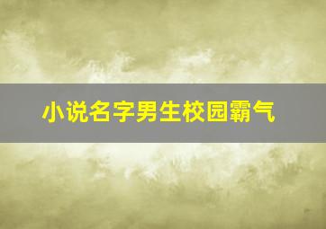 小说名字男生校园霸气