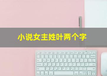 小说女主姓叶两个字