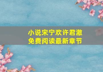 小说宋宁欢许君澈免费阅读最新章节