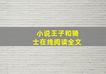 小说王子和骑士在线阅读全文