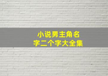 小说男主角名字二个字大全集