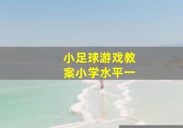 小足球游戏教案小学水平一