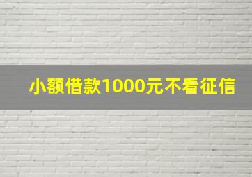 小额借款1000元不看征信