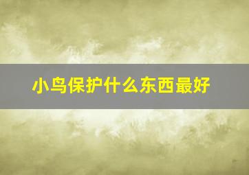 小鸟保护什么东西最好