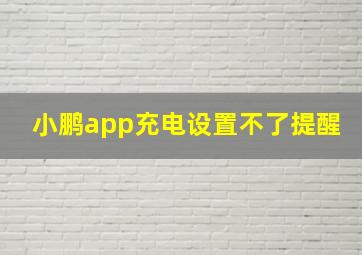 小鹏app充电设置不了提醒