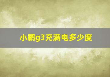 小鹏g3充满电多少度