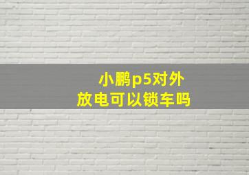 小鹏p5对外放电可以锁车吗