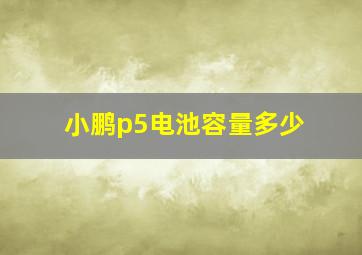 小鹏p5电池容量多少