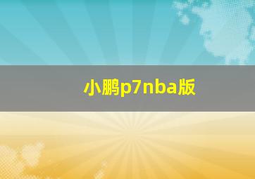 小鹏p7nba版