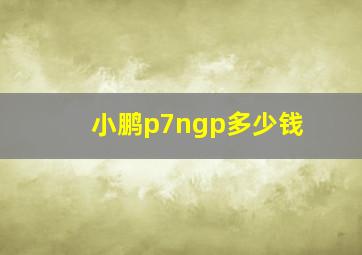 小鹏p7ngp多少钱