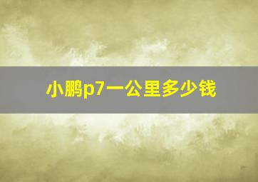 小鹏p7一公里多少钱