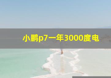 小鹏p7一年3000度电