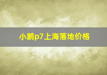 小鹏p7上海落地价格