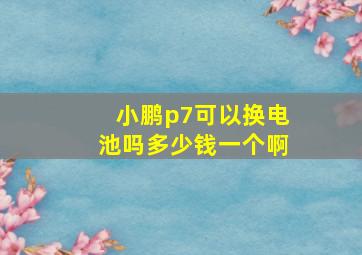 小鹏p7可以换电池吗多少钱一个啊