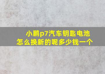 小鹏p7汽车钥匙电池怎么换新的呢多少钱一个