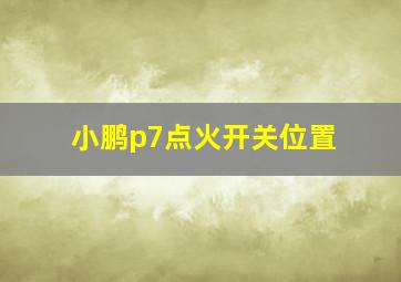 小鹏p7点火开关位置