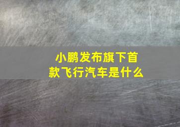 小鹏发布旗下首款飞行汽车是什么