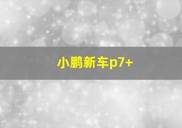 小鹏新车p7+