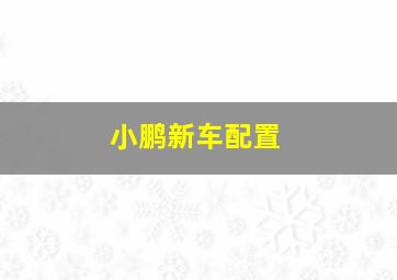 小鹏新车配置