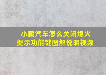 小鹏汽车怎么关闭熄火提示功能键图解说明视频