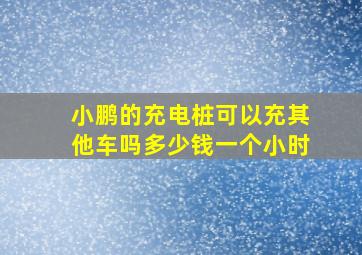 小鹏的充电桩可以充其他车吗多少钱一个小时