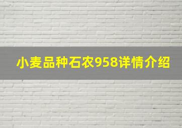 小麦品种石农958详情介绍