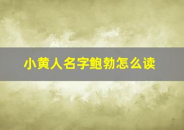 小黄人名字鲍勃怎么读