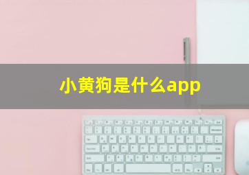 小黄狗是什么app