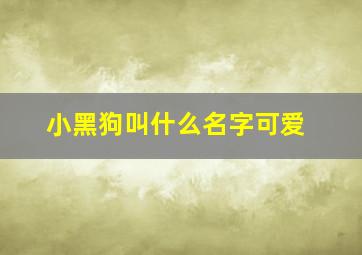 小黑狗叫什么名字可爱